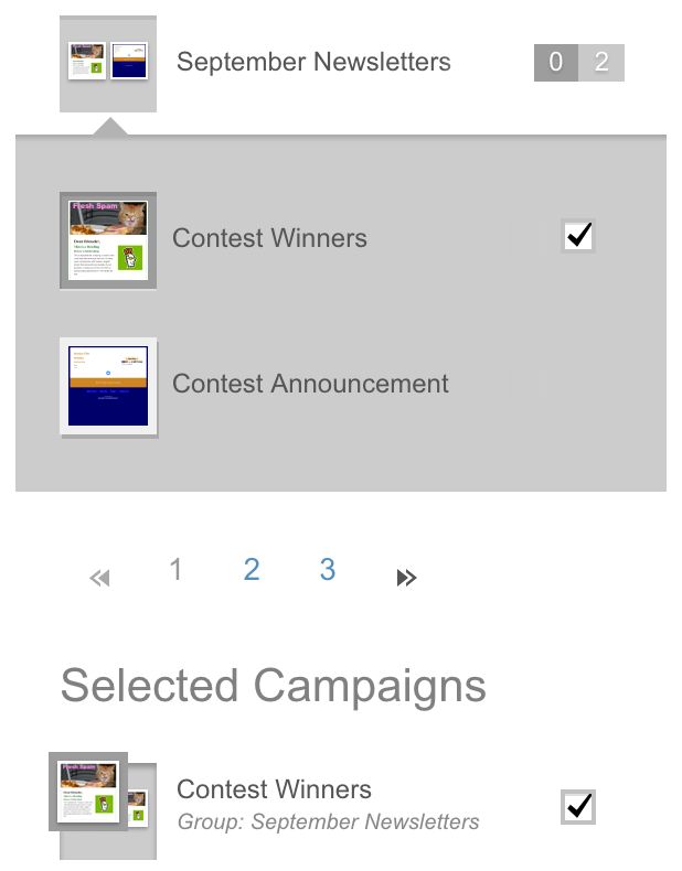 Select campaign in group so it shows under Selected Campaigns.