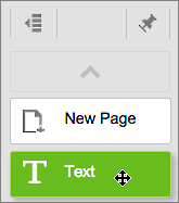 Drag Text tool on to page.
